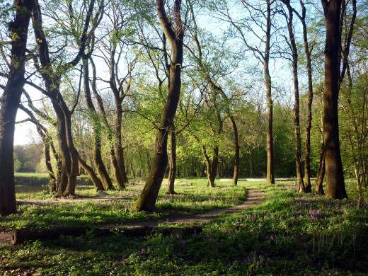 1076377 (a): :2560x1920